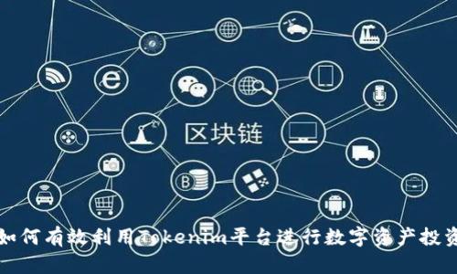 如何有效利用Tokenim平台进行数字资产投资
