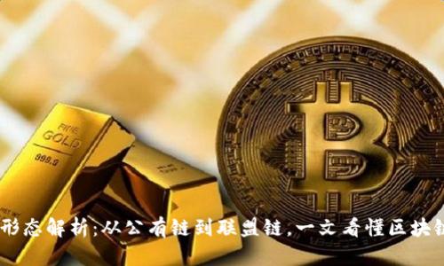 区块链的10种形态解析:从公有链到联盟链,一文看懂区块链世界的多样性