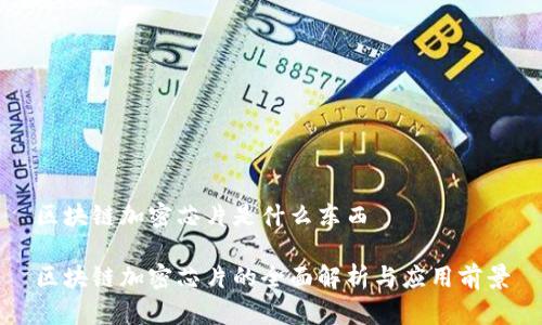 区块链加密芯片是什么东西
区块链加密芯片的全面解析与应用前景