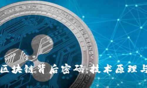 深入解读区块链背后密码:技术原理与应用分析