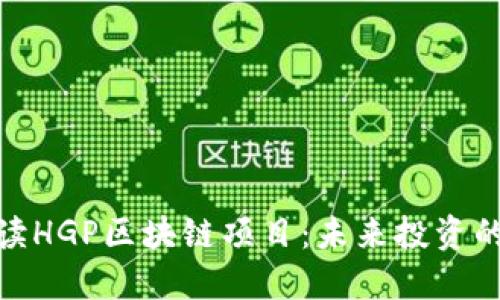 全面解读HGP区块链项目:未来投资的新机遇