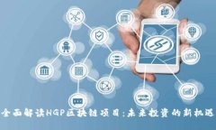 全面解读HGP区块链项目：