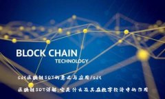 sdt区块链SDT的意义与应用