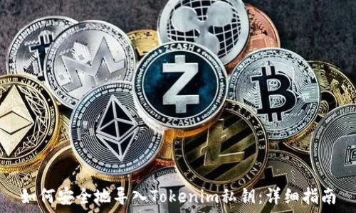   
如何安全地导入Tokenim私钥：详细指南