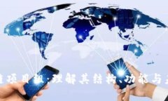 : 区块链项目组：理解其结