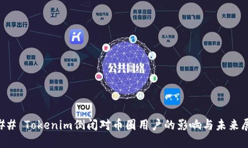 ### Tokenim倒闭对币圈用户的影响与未来展望