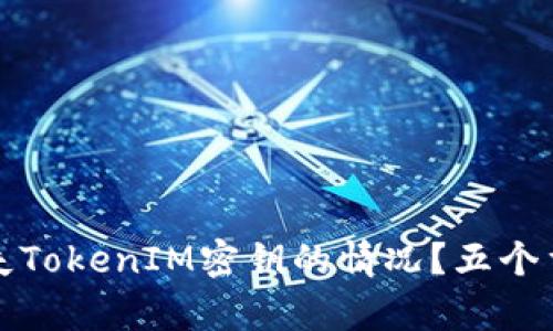 如何处理丢失TokenIM密钥的情况?五个重要问题解析