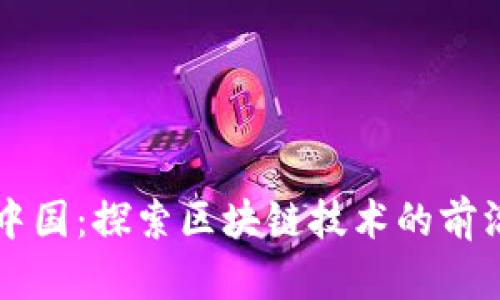 斑马中国:探索区块链技术的前沿公司