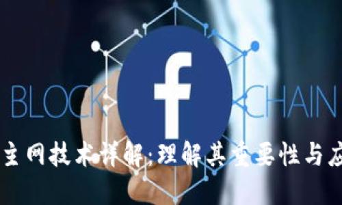 区块链主网技术详解:理解其重要性与应用潜力