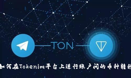 如何在Tokenim平台上进行账户间的币种转移