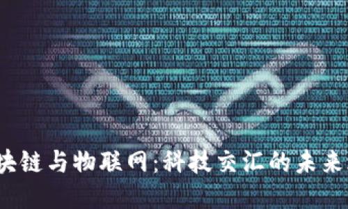 区块链与物联网:科技交汇的未来之路