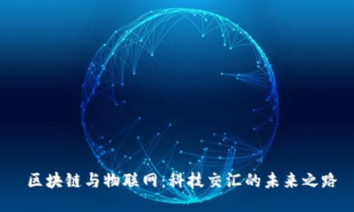 区块链与物联网:科技交汇的未来之路
