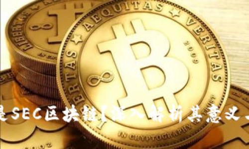 什么是SEC区块链?深入解析其意义与应用