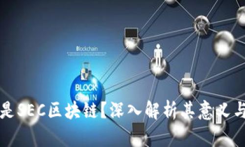 什么是SEC区块链?深入解析其意义与应用
