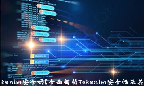 资金藏Tokenim安全吗?全面解析Tokenim安全性及其防范措施