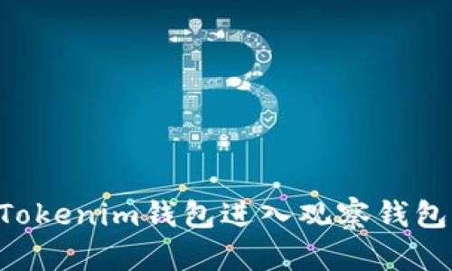 如何通过Tokenim钱包进入观察钱包:详细指南