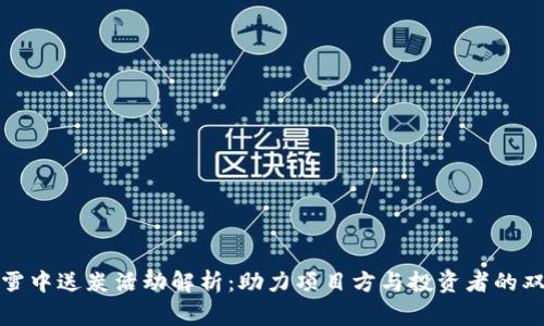 区块链雪中送炭活动解析:助力项目方与投资者的双赢之道