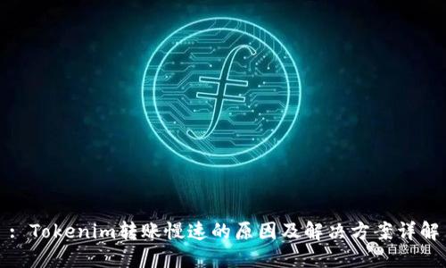 : Tokenim转账慢速的原因及解决方案详解