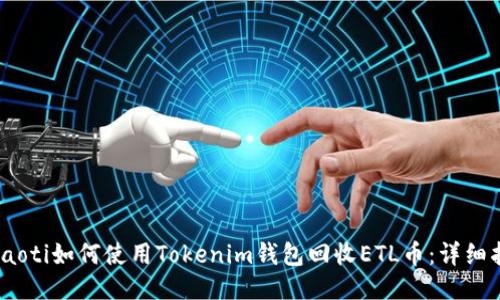 briaoti如何使用Tokenim钱包回收ETL币:详细指南