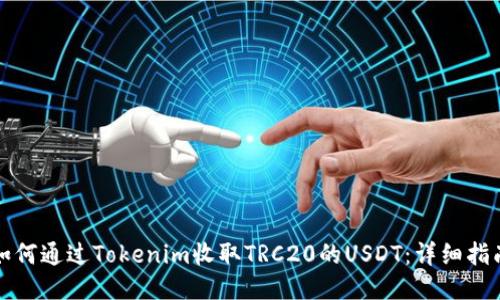 如何通过Tokenim收取TRC20的USDT:详细指南