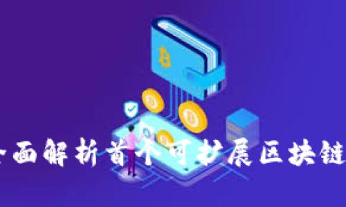 1st区块链:全面解析首个可扩展区块链的概念与应用