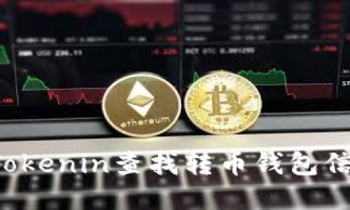 : 如何使用Tokenin查找转币钱包信息:全面指南