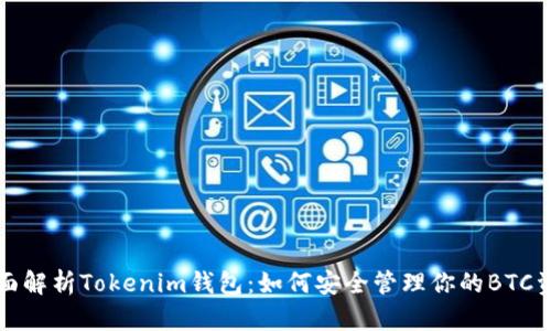 全面解析Tokenim钱包:如何安全管理你的BTC资产