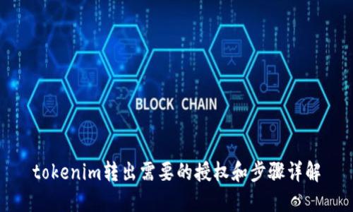 tokenim转出需要的授权和步骤详解
