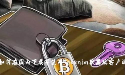 如何在国内下载并使用Tokenim苹果版客户端