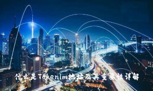 什么是Tokenim地址及其重要性详解