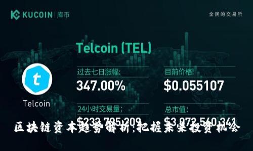 区块链资本趋势解析:把握未来投资机会