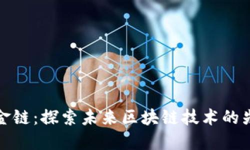 新金链:探索未来区块链技术的先锋