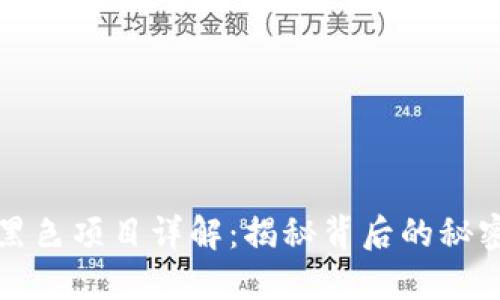 区块链黑色项目详解：揭秘背后的秘密与风险