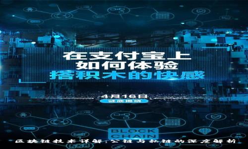 区块链技术详解:公链与私链的深度解析