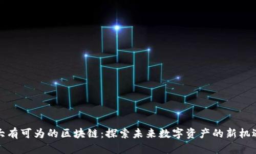 大有可为的区块链:探索未来数字资产的新机遇