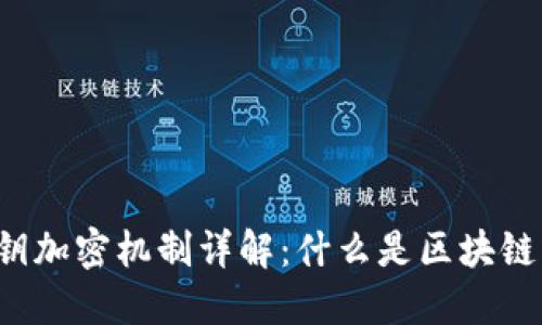 区块链公开密钥加密机制详解:什么是区块链中的加密技术?