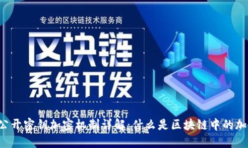 区块链公开密钥加密机制详解:什么是区块链中的加密技术?
