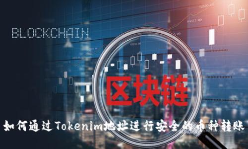 如何通过Tokenim地址进行安全的币种转账