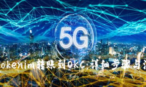 如何将Tokenim转账到OKC:详细步骤与注意事项