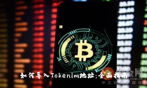 如何导入Tokenim地址:全面指南