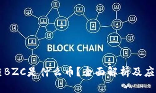 区块链BZC是什么币？全面解析及应用前景