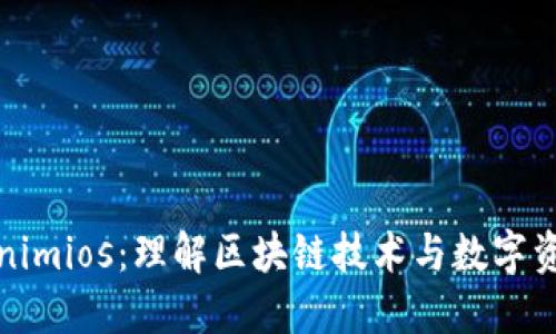 探索Tokenimios:理解区块链技术与数字资产的未来