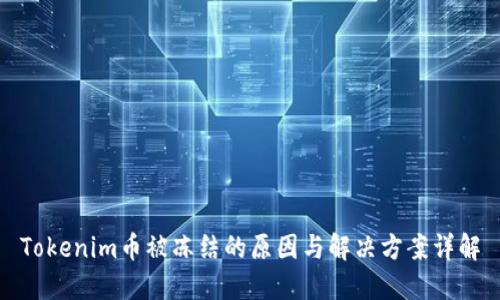 Tokenim币被冻结的原因与解决方案详解