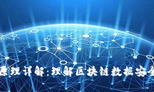区块链碰撞原理详解:理解区块链数据安全性与一致性