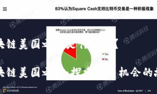 区块链美国之路是什么梗?
区块链美国之路:探索者与机会的故事