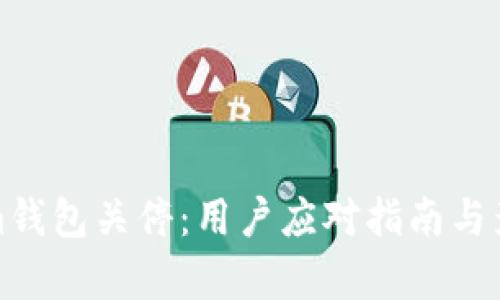 Tokenim钱包关停:用户应对指南与影响分析