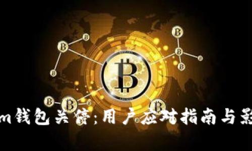 Tokenim钱包关停:用户应对指南与影响分析