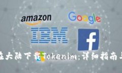 如何在大陆下载Tokenim：详