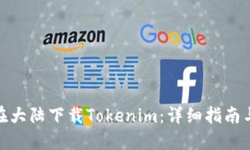 如何在大陆下载Tokenim:详细指南与步骤