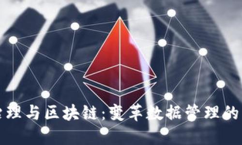 数据治理与区块链:变革数据管理的新力量